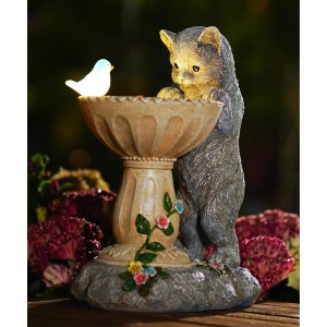 Solar Cat & Birdbath